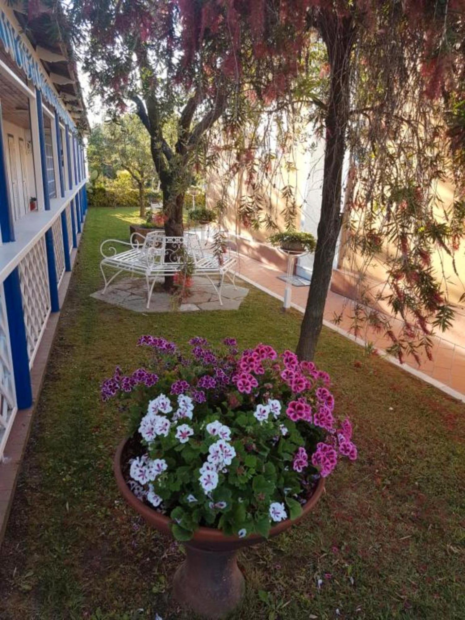 Bed And Breakfast Bagno Venezia Marina Di Carrara Zewnętrze zdjęcie